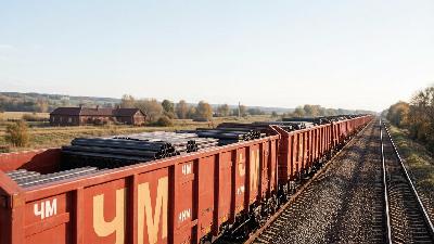 50% скидка на металл: РЖД стимулируют перевозки в условиях кризиса